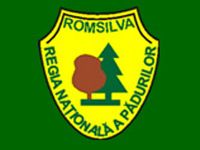 Directia Silvica Valcea logo