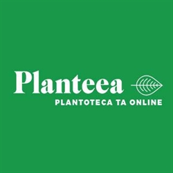 Planteea în Bucureşti, Sector 6 - program de funcționare