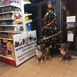 ROM PET CONCEPT INTERNATIONAL SRL în Bucureşti, Sector 6 - program de funcționare