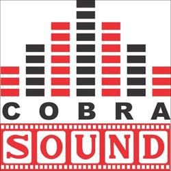 COBRA SOUND SRL, Făgăraş program de funcționare