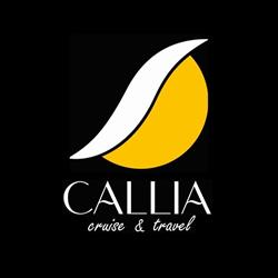CALLIA CRUISE & TRAVEL S.R.L., Braşov program de funcționare