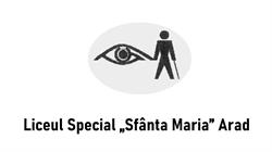 LICEUL SPECIAL SFÂNTA MARIA, Arad program de funcționare