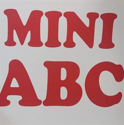 MINI A.B.C.BARNABAS SRL, Arad program de funcționare