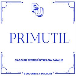 PRIMUTIL SRL, Baia Mare program de funcționare