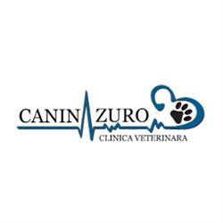CANIN AZURO PROCOM SRL în Bucureşti, Sectorul 1 - program de funcționare