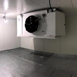 FRIGO STAR SRL, Botoşani program de funcționare