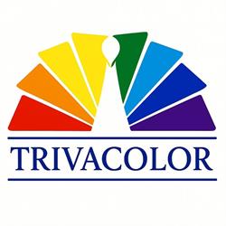 TRIVACOLOR SRL, Satu Mare program de funcționare