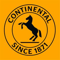 SC Continental Automotive Products SRL, Timişoara program de funcționare