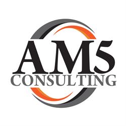 AM 5 CONSULTING IMPEX SRL în Bucureşti, Sectorul 1 - program de funcționare