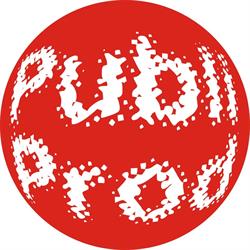 PUBLI PROD SRL, Vaslui program de funcționare