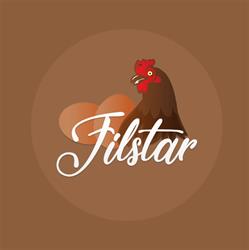 FILSTAR SRL, Seini program de funcționare