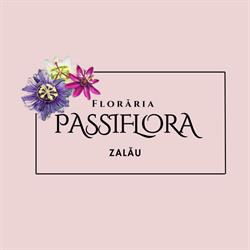 PASSIFLORA SRL, Zalău program de funcționare