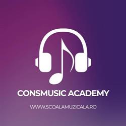 CONSMUSIC SRL, Brăila program de funcționare