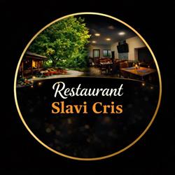 SLAVICRIS SRL, Lunca Ilvei program de funcționare