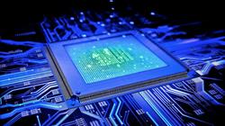 A.D.T. COMPUTERS SRL, Lugoj program de funcționare