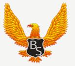 Bronic Security S.r.l în Bucureşti, Sectorul 3 - program de funcționare