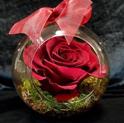 FLORARIA HEAVEN ,SC HEAVEN BLOOMSHOP în Bucureşti, Sectorul 6 - program de funcționare