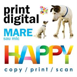 HAPPY DAY SRL, Roman program de funcționare