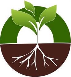 ECO TERRA SRL, Gura Humorului program de funcționare