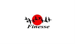 Finesse SRL în Bucureşti, Sectorul 1 - program de funcționare