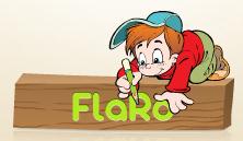 Flaro SRL, Botoşani program de funcționare