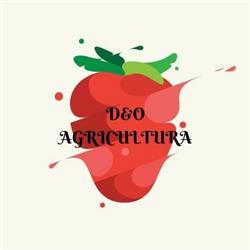 CEREAL D & O AGRICULTURA SRL, Cezieni program de funcționare