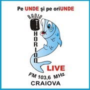 Radio Horion, Craiova program de funcționare