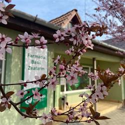 BASIL ZEAFARM, Semlac program de funcționare