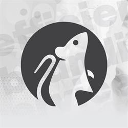 Mouse Media Sevices - Agentie de Branding, Piatra-Neamţ program de funcționare