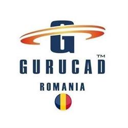 GURUCAD SRL, Voluntari program de funcționare