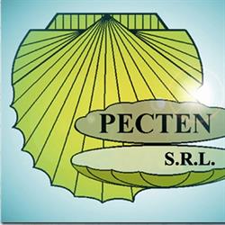 Pecten S.r.l, Oradea program de funcționare