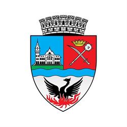 Primaria Municipiului Buzau, program de funcționare