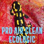 Pro Air Clean SA, Timişoara program de funcționare