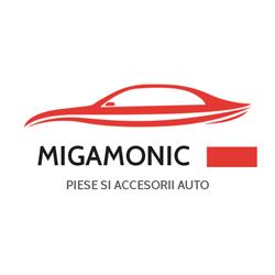 Migamonic Group SRL - Piese auto, Târgu Jiu program de funcționare