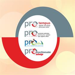 Pro Tempus SRL, Turda program de funcționare