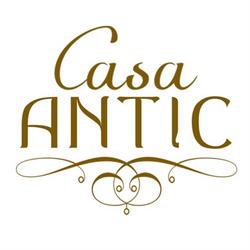 CASA ANTIC, Sânmartin program de funcționare