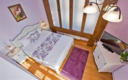 CASA REIMS, Braşov program de funcționare