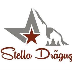 STELLA DRĂGUŞ, Drăguş program de funcționare