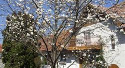 MAGNOLIA, Prejmer program de funcționare