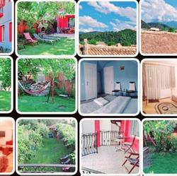 CASA TERZEA, Râşnov program de funcționare