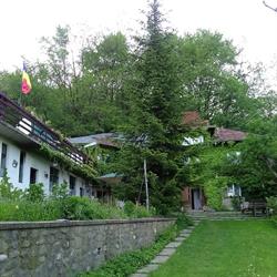 TATA LICE, Chiojdu program de funcționare
