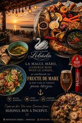 LEBADA, Mangalia program de funcționare