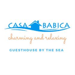 CASA BĂBICA, Costineşti program de funcționare