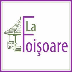 LA FOISOARE, Venus program de funcționare