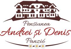 ANDREI SI DENIS, Praid program de funcționare