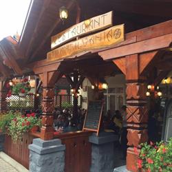 TRANSILVANIA, Sovata program de funcționare