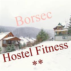 Vila Fitness, Borsec program de funcționare