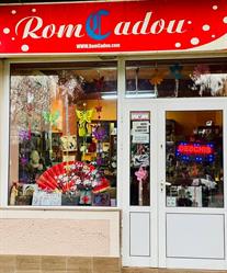 Romcadou SRL, Lipova program de funcționare
