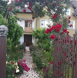 CASA LUMINIŢA, Haţeg program de funcționare