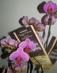 HYGGE HOUSE, Buşteni program de funcționare